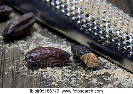 Stock Photo - Tonka beans with nutmeg grater, grated ( Dipteryx odorata). Fotosearch