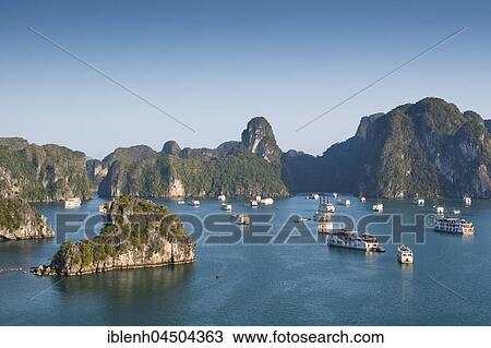 Tourist boats in Halong Bay, Halong, Gulf of Tonkin, Vietnam, Asia View Large Photo Image Stock Image - Tourist boats in Halong Bay, Halong, Gulf of Tonkin, Vietnam, Asia. Fotosearch