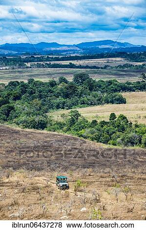 Tourist jeep driving through the savannah of the Unesco world heritage sight, Lope national park, Gabon, Africa View Large Photo Image Stock Photo - Tourist jeep driving through the savannah of the Unesco world heritage sight, Lope national park, Gabon, Africa. Fotosearch