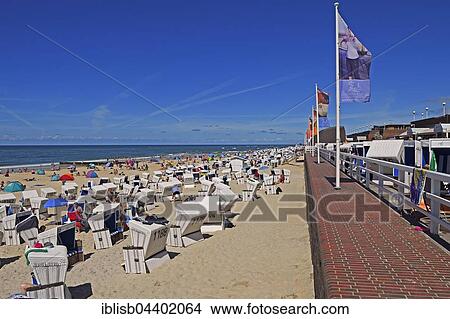 Tourists and beach chairs, the main beach of Westerland, Sylt, North Frisian Islands, North Frisia, Schleswig-Holstein, Germany, Europe View Large Photo Image Picture - Tourists and beach chairs, the main beach of Westerland, Sylt, North Frisian Islands, North Frisia, Schleswig-Holstein, Germany, Europe. Fotosearch