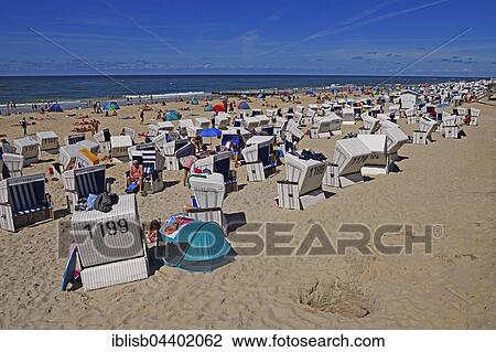 Tourists and beach chairs, the main beach of Westerland, Sylt, North Frisian Islands, North Frisia, Schleswig-Holstein, Germany, Europe View Large Photo Image Stock Image - Tourists and beach chairs, the main beach of Westerland, Sylt, North Frisian Islands, North Frisia, Schleswig-Holstein, Germany, Europe. Fotosearch