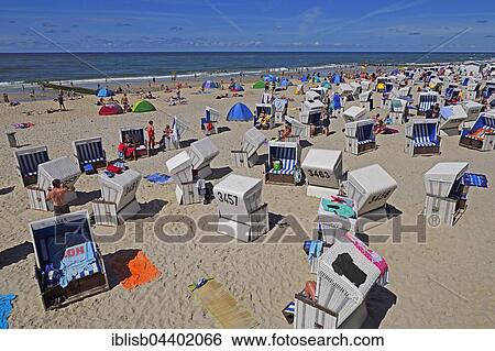 Tourists and beach chairs, the main beach of Westerland, Sylt, North Frisian Islands, North Frisia, Schleswig-Holstein, Germany, Europe View Large Photo Image Stock Photograph - Tourists and beach chairs, the main beach of Westerland, Sylt, North Frisian Islands, North Frisia, Schleswig-Holstein, Germany, Europe. Fotosearch