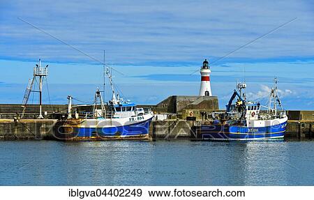 Trawler in the harbor, Fraserburgh, Scotland, United Kingdom, Europe View Large Photo Image Stock Photo - Trawler in the harbor, Fraserburgh, Scotland, United Kingdom, Europe. Fotosearch