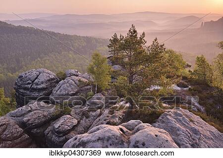 Stock Photo - Trees and rocks in morning light, view into wet ground, Saxon Switzerland, Elbe Sandstone Mountains, Saxony, Germany, Europe. Fotosearch