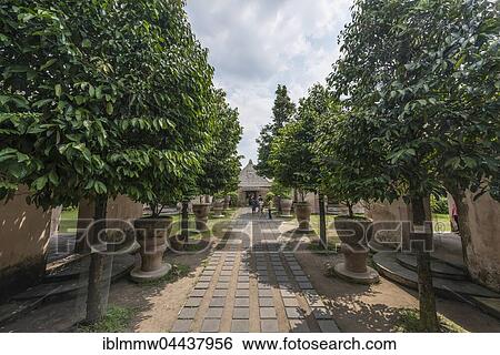 Stock Photograph - Trees at the entrance to moated castle, Water Castle Taman Sari, Kraton, Daerah Istimewa Yogyakarta, Java Tengah, Indonesia, Asia. Fotosearch