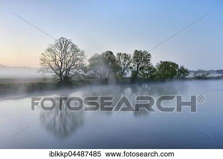 Trees in the fog on the shore at dawn, river trough, Middle Elbe Biosphere Reserve, Dessau, Saxony-Anhalt, Germany, Europe View Large Photo Image Stock Photography - Trees in the fog on the shore at dawn, river trough, Middle Elbe Biosphere Reserve, Dessau, Saxony-Anhalt, Germany, Europe. Fotosearch