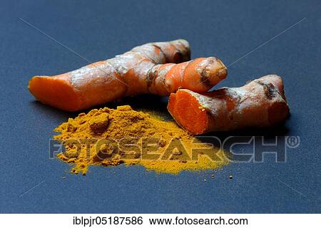 Turmeric powder and turmeric root, curcuma longa, turmeric root, turmeric powder View Large Photo Image Stock Photograph - Turmeric powder and turmeric root, curcuma longa, turmeric root, turmeric powder. Fotosearch