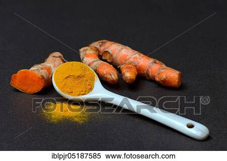 Turmeric powder and turmeric root, curcuma longa, turmeric root, turmeric powder View Large Photo Image Stock Photography - Turmeric powder and turmeric root, curcuma longa, turmeric root, turmeric powder. Fotosearch