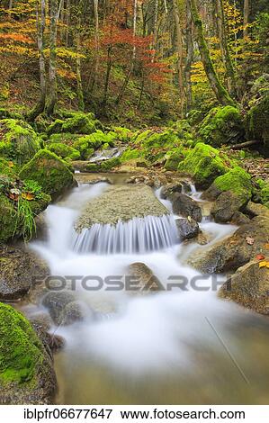 Twannbach Gorge, Bern, Switzerland, Europe View Large Photo Image Stock Photo - Twannbach Gorge, Bern, Switzerland, Europe. Fotosearch