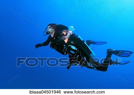 Stock Photograph - Two scuba divers, man and woman, swimming in blue water, Red Sea, Egypt, Africa. Fotosearch