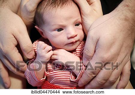 Two-week-old baby with hands of parents View Large Photo Image Picture - Two-week-old baby with hands of parents. Fotosearch
