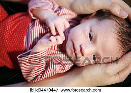 Two-week-old baby with hands of parents View Large Photo Image Stock Photo - Two-week-old baby with hands of parents. Fotosearch