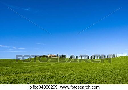 Typical green Tuscan landscape in Bagno Vignoni, Val d’Orcia, farm on hill, fields, cypresses and blue sky, San Quirico d’Orcia, Tuscany, Italy, Europe View Large Photo Image Stock Photo - Typical green Tuscan landscape in Bagno Vignoni, Val d’Orcia, farm on hill, fields, cypresses and blue sky, San Quirico d’Orcia, Tuscany, Italy, Europe. Fotosearch