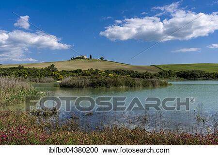 Typical green Tuscan landscape in Val d’Orcia, farm on hill, lake and blue cloudy sky, La Foce, Tuscany, Italy, Europe View Large Photo Image Stock Image - Typical green Tuscan landscape in Val d’Orcia, farm on hill, lake and blue cloudy sky, La Foce, Tuscany, Italy, Europe. Fotosearch
