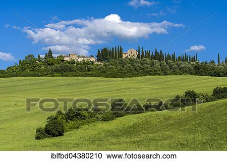 Typical green Tuscan landscape in Val d’Orcia, farm on hill, fields, trees, cypresses and blue cloudy sky, La Foce, Tuscany, Italy, Europe View Large Photo Image Stock Image - Typical green Tuscan landscape in Val d’Orcia, farm on hill, fields, trees, cypresses and blue cloudy sky, La Foce, Tuscany, Italy, Europe. Fotosearch