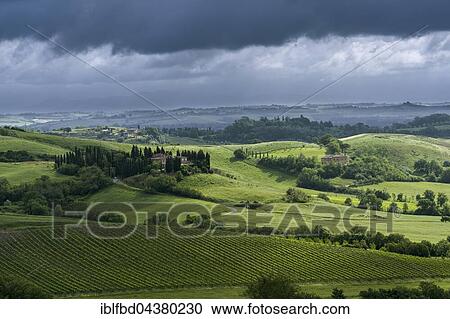 Typical green Tuscan landscape in Val d’Orcia with hills, farm, fields, trees, wineyards, olive plantations and cloudy sky, Montefollonico, Tuscany, Italy, Europe View Large Photo Image Stock Image - Typical green Tuscan landscape in Val d’Orcia with hills, farm, fields, trees, wineyards, olive plantations and cloudy sky, Montefollonico, Tuscany, Italy, Europe. Fotosearch