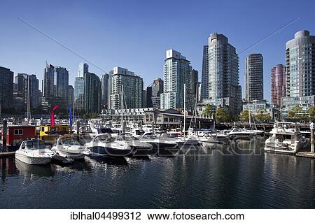 Vancouver Coal Harbor, marina and skyline, Vancouver, British Columbia Province, Canada, North America View Large Photo Image Stock Image - Vancouver Coal Harbor, marina and skyline, Vancouver, British Columbia Province, Canada, North America. Fotosearch