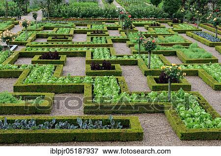 Vegetable garden of Villandry Castle, Chateau de, Indre-et-Loire, Loire Valley, Loire Valley, Centre, France, Europe View Large Photo Image Stock Photo - Vegetable garden of Villandry Castle, Chateau de, Indre-et-Loire, Loire Valley, Loire Valley, Centre, France, Europe. Fotosearch