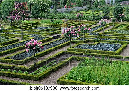 Stock Photograph - Vegetable garden of Villandry Castle, Chateau de, Indre-et-Loire, Loire Valley, Loire Valley, Centre, France, Europe. Fotosearch