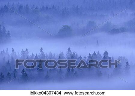 View from Kleiner Winterberg, Fog over forest in Schandt, Elbe Sandstone Mountains, Saxon Switzerland, Saxony, Germany, Europe View Large Photo Image Picture - View from Kleiner Winterberg, Fog over forest in Schandt, Elbe Sandstone Mountains, Saxon Switzerland, Saxony, Germany, Europe. Fotosearch