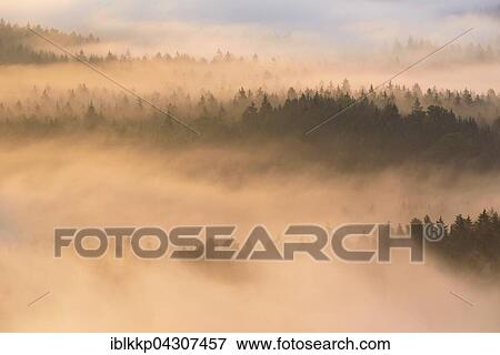 View from Kleiner Winterberg, Fog over forest in Schandt, Elbe Sandstone Mountains, Saxon Switzerland, Saxony, Germany, Europe View Large Photo Image Stock Photo - View from Kleiner Winterberg, Fog over forest in Schandt, Elbe Sandstone Mountains, Saxon Switzerland, Saxony, Germany, Europe. Fotosearch