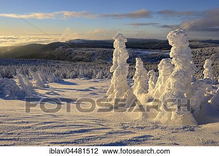 View from the Brocken on forests in winter, snow-covered pines, Harz National Park, Saxony-Anhalt, Germany, Europe View Large Photo Image Stock Image - View from the Brocken on forests in winter, snow-covered pines, Harz National Park, Saxony-Anhalt, Germany, Europe. Fotosearch