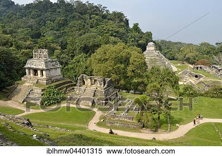 View with Temple Templo del Sol, Templo XIV and XV Templo, Templo de las Inscriptiones and El Palacio, Mayan ruins of Palenque, Chiapas, Mexico, Central America View Large Photo Image Stock Photography - View with Temple Templo del Sol, Templo XIV and XV Templo, Templo de las Inscriptiones and El Palacio, Mayan ruins of Palenque, Chiapas, Mexico, Central America. Fotosearch