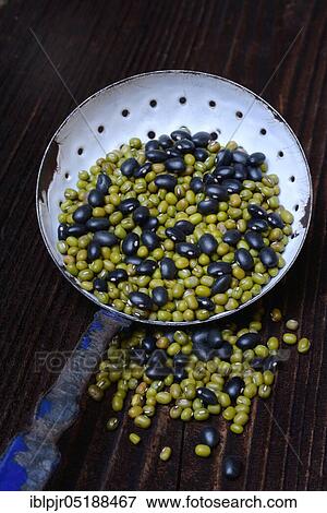 Stock Photo - Vignan and black beans in ladle ( Vigna radiata, Vigna mungo). Fotosearch