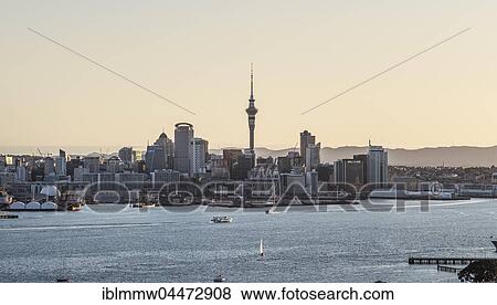 Stock Photo - Waitemata Harbour, Sky Tower, skyline with skyscrapers, evening mood, Central Business District, Auckland Region, North Island, New Zealand, Oceania. Fotosearch