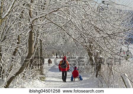 Walkers and sledders under snowy trees, Winterberg, Sauerland, North Rhine-Westphalia, Germany, Europe View Large Photo Image Stock Photo - Walkers and sledders under snowy trees, Winterberg, Sauerland, North Rhine-Westphalia, Germany, Europe. Fotosearch