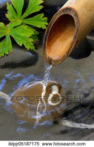 Water flows from bamboo cane, bamboo, water jet View Large Photo Image Stock Photography - Water flows from bamboo cane, bamboo, water jet. Fotosearch