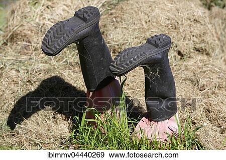 Wellington boots stuck in grass, Mecklenburg-Western Pomerania, Germany, Europe View Large Photo Image Stock Photo - Wellington boots stuck in grass, Mecklenburg-Western Pomerania, Germany, Europe. Fotosearch