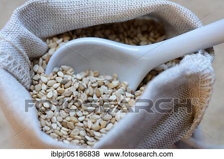 White seed ( Sesamum indicum) in bag with porcelain spoon View Large Photo Image Stock Photo - White seed ( Sesamum indicum) in bag with porcelain spoon. Fotosearch