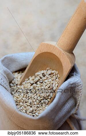 Stock Photograph - White seed ( Sesamum indicum) in bag with shovel. Fotosearch
