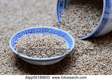 White seed ( Sesamum indicum) in dish View Large Photo Image Stock Image - White seed ( Sesamum indicum) in dish. Fotosearch