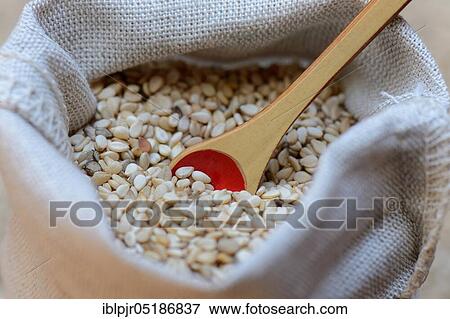 White seed ( Sesamum indicum) in small bag with spoon View Large Photo Image Stock Photo - White seed ( Sesamum indicum) in small bag with spoon. Fotosearch
