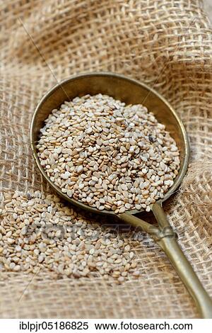 Stock Photography - White seed ( Sesamum indicum) in trowel. Fotosearch