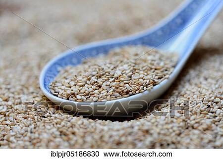 Stock Image - White seed ( Sesamum indicum) with Asian spoon. Fotosearch
