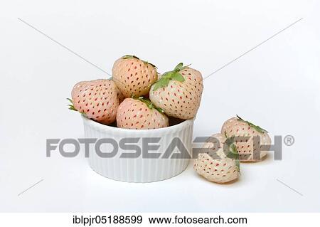 Stock Photo - White strawberries in bowl, Fragaria x pineapplesa, Pineberry, Pineberries. Fotosearch