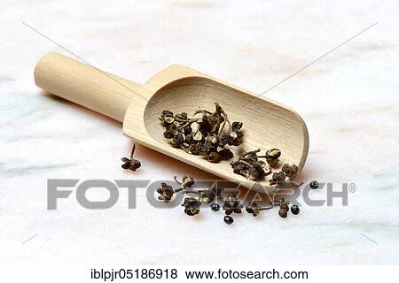 Stock Photo - Wild Andaliman pepper in wooden shovel, Andaliman pepper, Zanthoxylum acanthopodium, Sumatra, Indonesia, Asia. Fotosearch