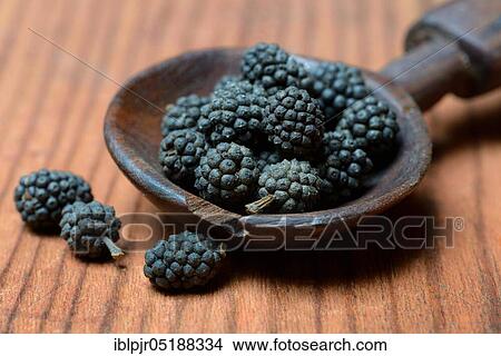 Wild Assam pepper in wooden spoon, Piper longum assamica, Assam, India, Asia View Large Photo Image Picture - Wild Assam pepper in wooden spoon, Piper longum assamica, Assam, India, Asia. Fotosearch