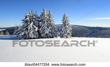 Winter landscape at Fichtelberg, spruces covered in snow, Ore Mountains, Saxony, Germany, Europe View Large Photo Image Picture - Winter landscape at Fichtelberg, spruces covered in snow, Ore Mountains, Saxony, Germany, Europe. Fotosearch