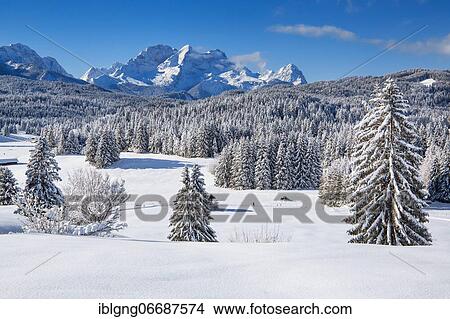 Winterly hummock meadows with Zugspitze group in the Wetterstein mountains, Krün, Werdenfelser Land, Upper Bavaria, Bavaria, Germany, Europe View Large Photo Image Picture - Winterly hummock meadows with Zugspitze group in the Wetterstein mountains, Krün, Werdenfelser Land, Upper Bavaria, Bavaria, Germany, Europe. Fotosearch