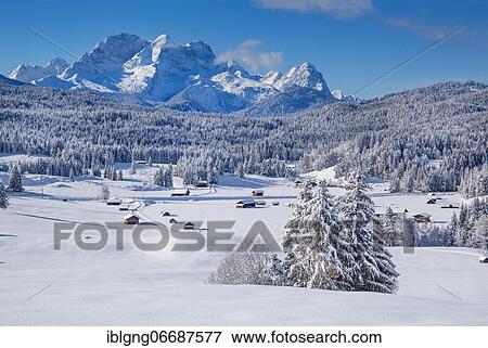 Stock Photo - Winterly hummock meadows with Zugspitze group in the Wetterstein mountains, Krün, Werdenfelser Land, Upper Bavaria, Bavaria, Germany, Europe. Fotosearch