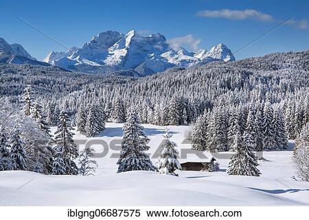 Stock Photography - Winterly hummock meadows with Zugspitze group in the Wetterstein mountains, Krün, Werdenfelser Land, Upper Bavaria, Bavaria, Germany, Europe. Fotosearch