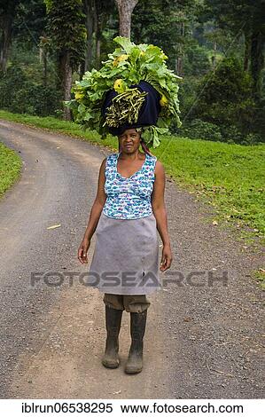 Woman carries a huge stack of vegetables on her head, Sao Tome, Sao Tome and Principe, Atlantic ocean, Africa View Large Photo Image Stock Photography - Woman carries a huge stack of vegetables on her head, Sao Tome, Sao Tome and Principe, Atlantic ocean, Africa. Fotosearch