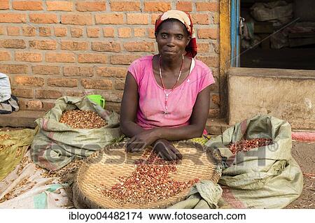 Woman sorting peanuts at the market, Musanze, Rwanda, Africa View Large Photo Image Picture - Woman sorting peanuts at the market, Musanze, Rwanda, Africa. Fotosearch