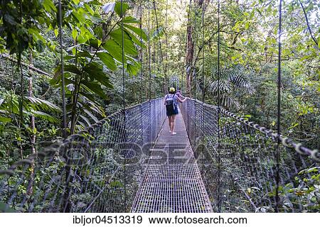 Woman walking over suspension bridge, Rainforest, Mistico Arenal suspension bridges Park, Volcan Arenal National Park, Alajuela province, Costa Rica, Central America View Large Photo Image Stock Photo - Woman walking over suspension bridge, Rainforest, Mistico Arenal suspension bridges Park, Volcan Arenal National Park, Alajuela province, Costa Rica, Central America. Fotosearch