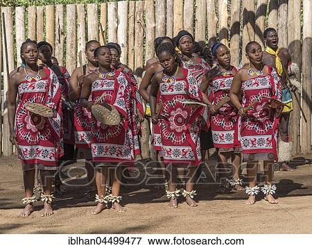 Women in traditional clothing during dance performance, Swazi cultural village, Lobamba, Manzini, Swaziland, Africa View Large Photo Image Stock Photo - Women in traditional clothing during dance performance, Swazi cultural village, Lobamba, Manzini, Swaziland, Africa. Fotosearch
