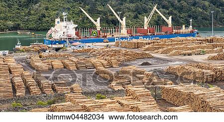 Picture - Wood stored in port, Picton, Southland, New Zealand, Oceania. Fotosearch